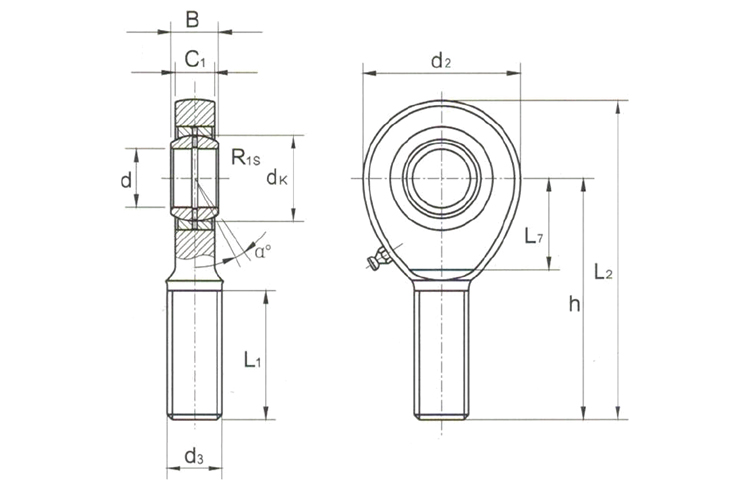 SA..E(S) Series Rod End Bearing